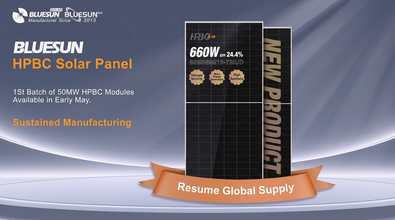 Bluesun Introduces HPBC Solar Panel Subscription Program for 660W Modules