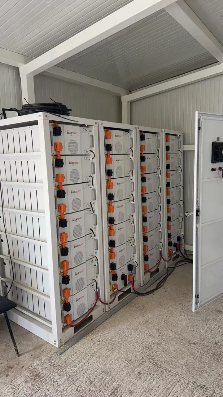Bluesun Bulgaria solar energy project + energy storage project