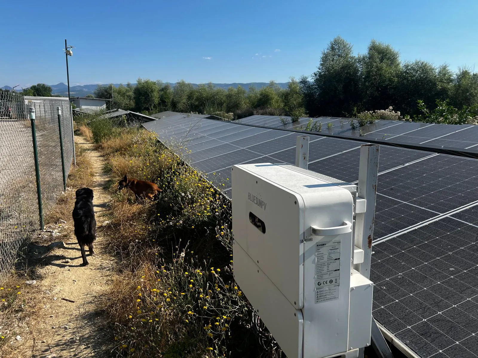 Progetto di energia solare + accumulo energetico Bluesun in Bulgaria