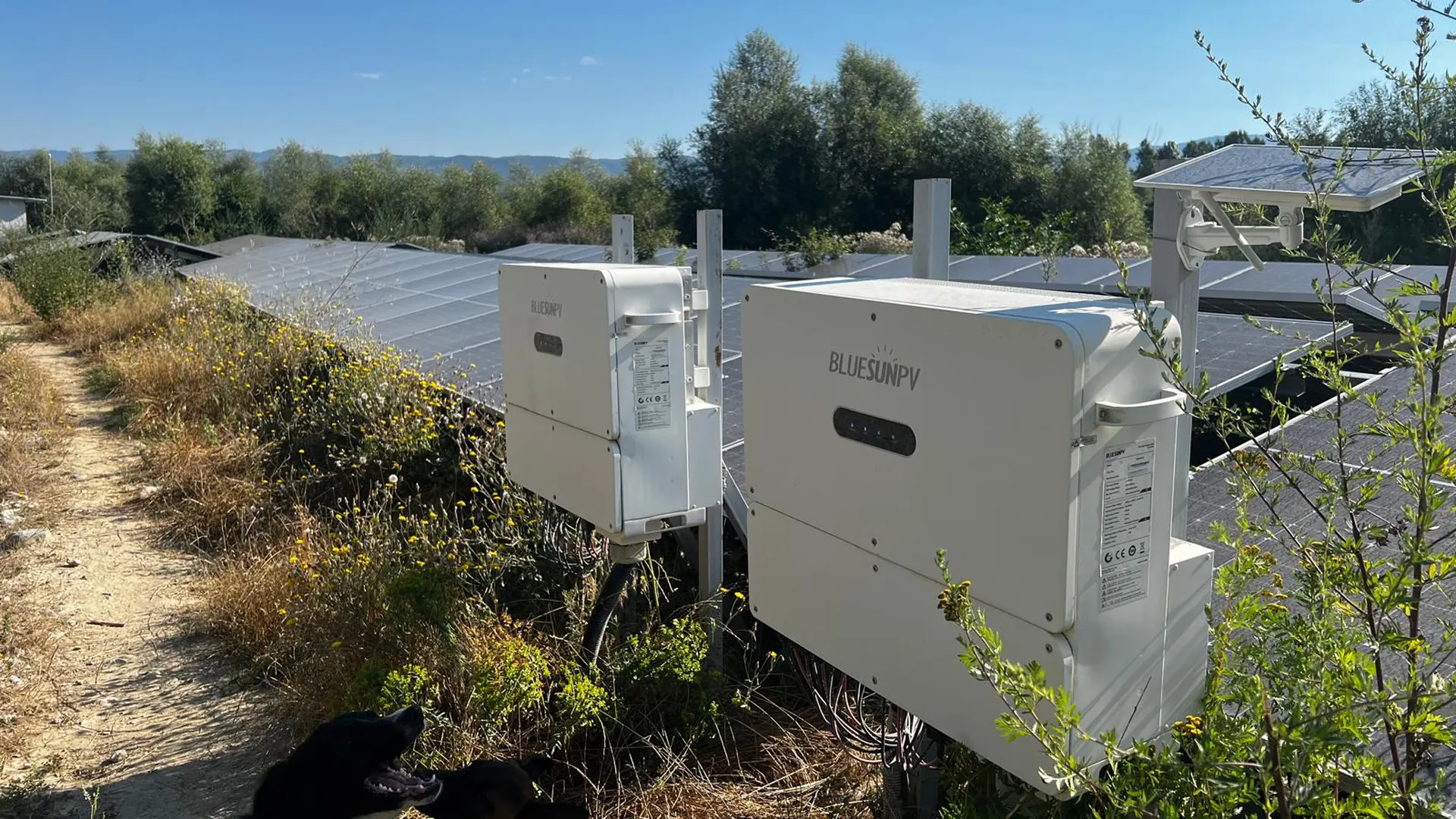 Bulgaria 1 MW Solar Energy Project + Energy Storage