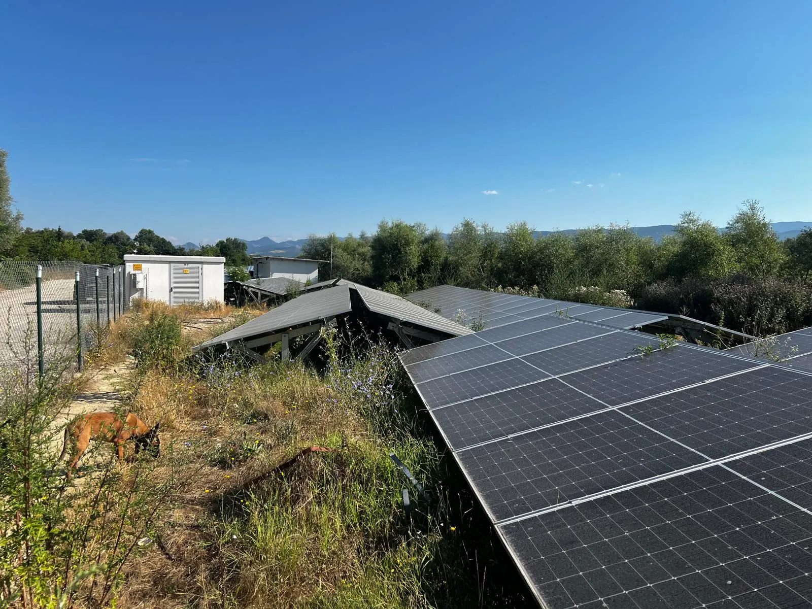 Bluesun Bulgaria solar energy project + energy storage project