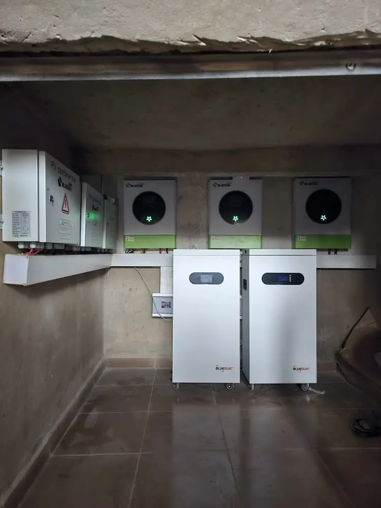 Bluesun Cameroon solar energy project project