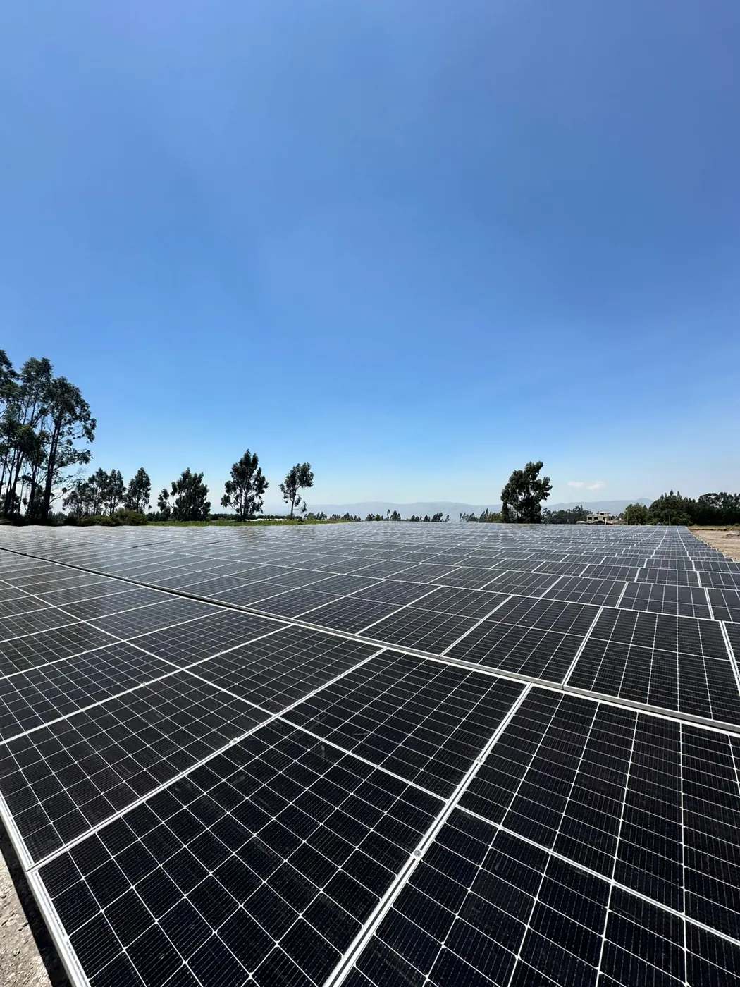 Bluesun Ecuador grid-tied solar project