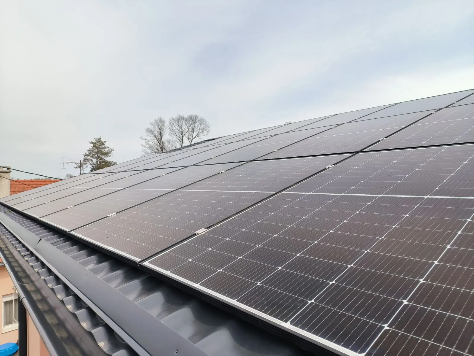 Bluesun Germany solar module supply project