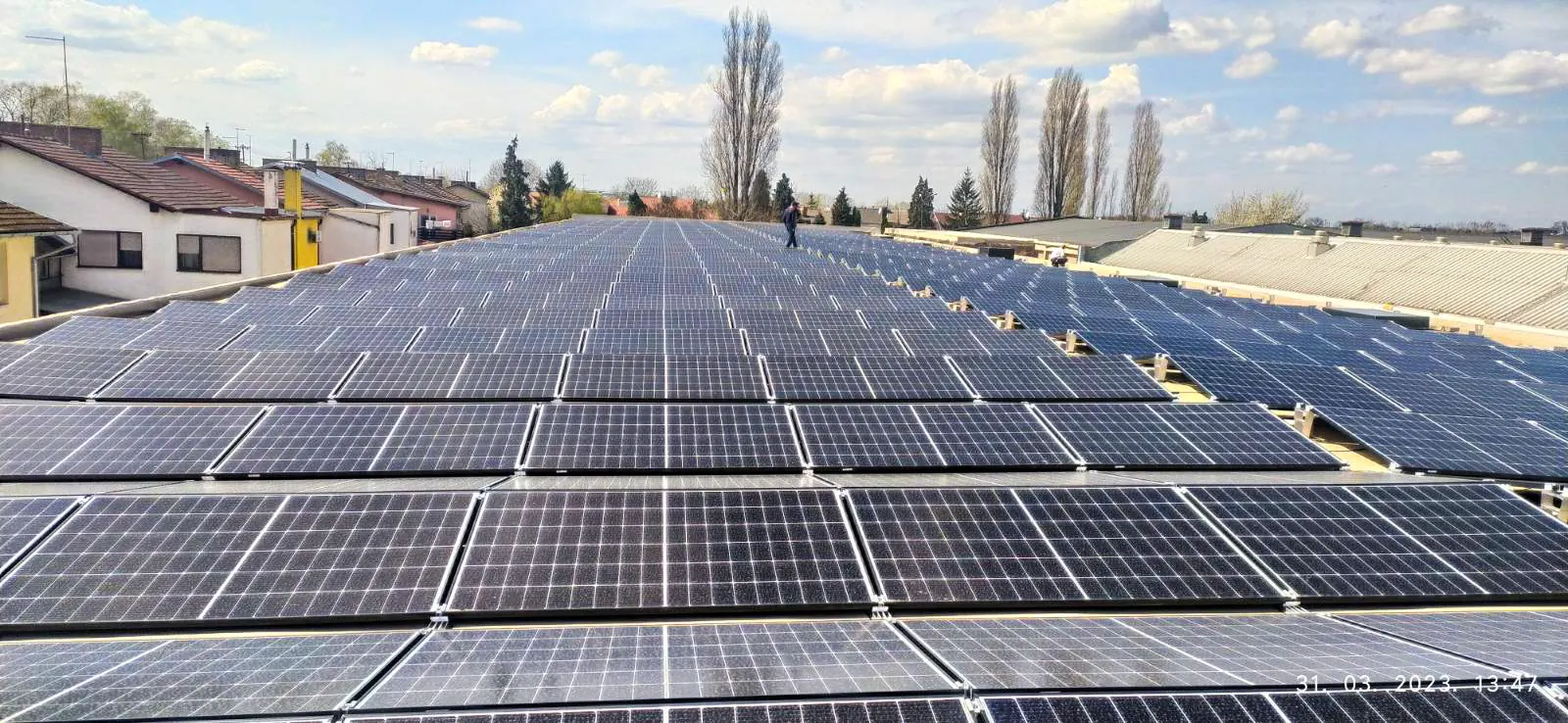 Bluesun Germany solar module supply project
