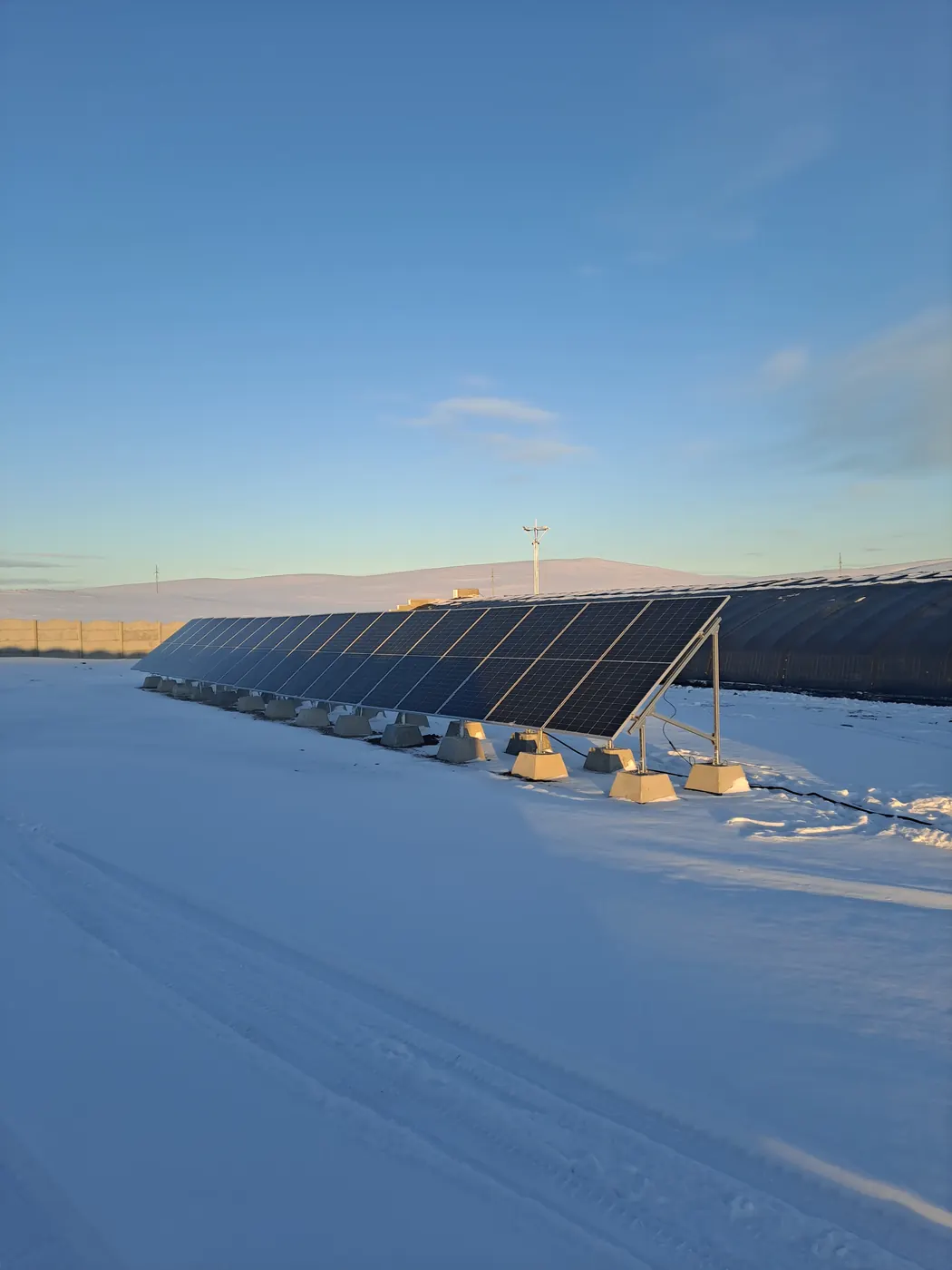 مشروع مشروع Bluesun للطاقة الشمسية في منغوليا