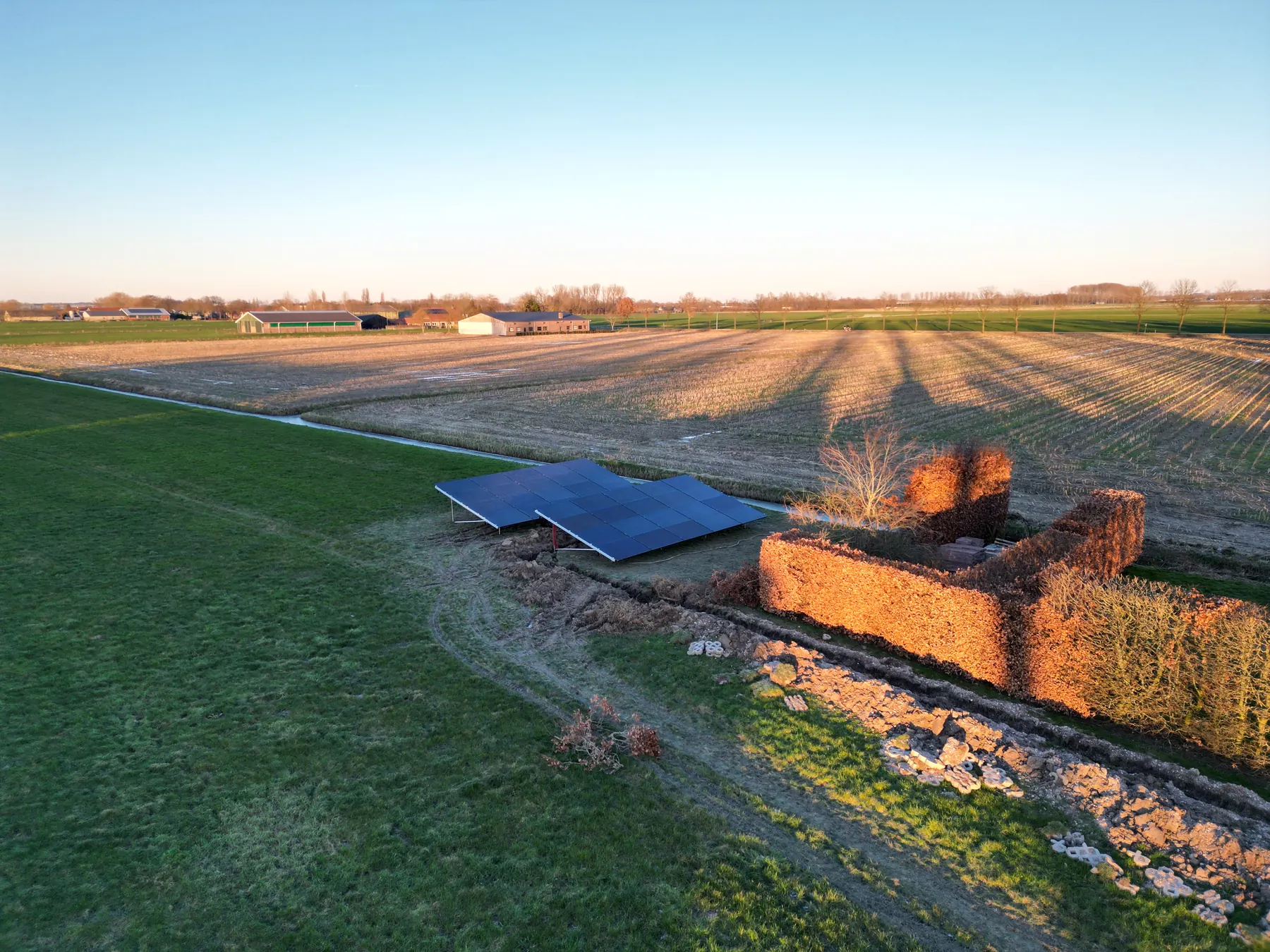 Bluesun Netherlands solar module supply project
