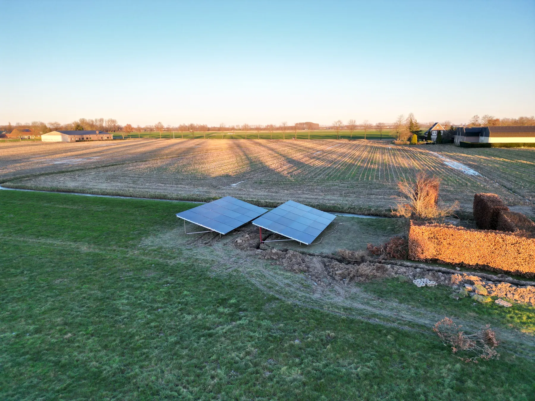 Bluesun Netherlands solar module supply project