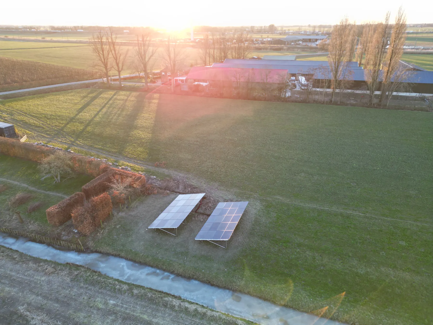 Bluesun Netherlands solar module supply project