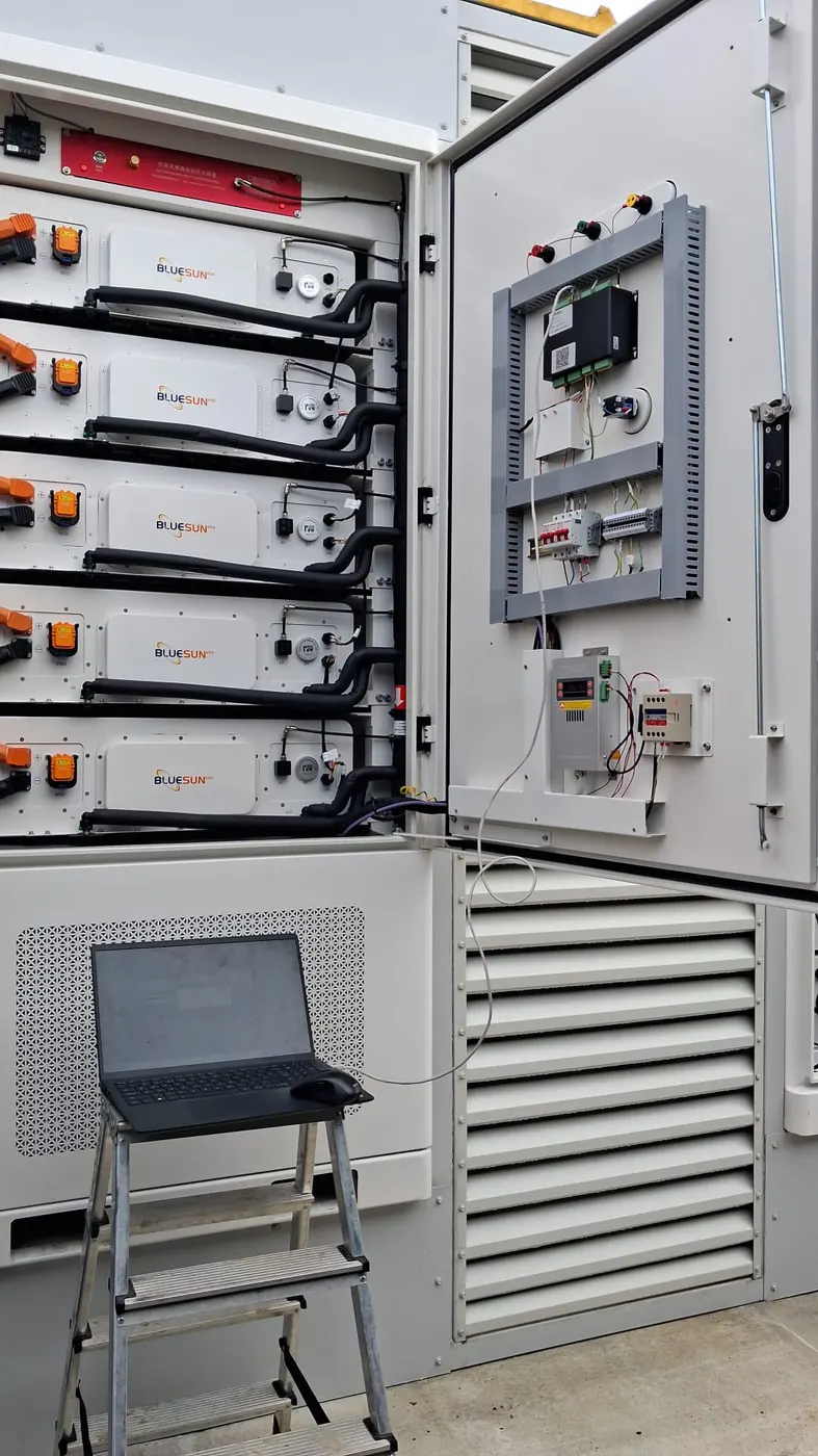 Bluesun Romania solar energy project + energy storage project