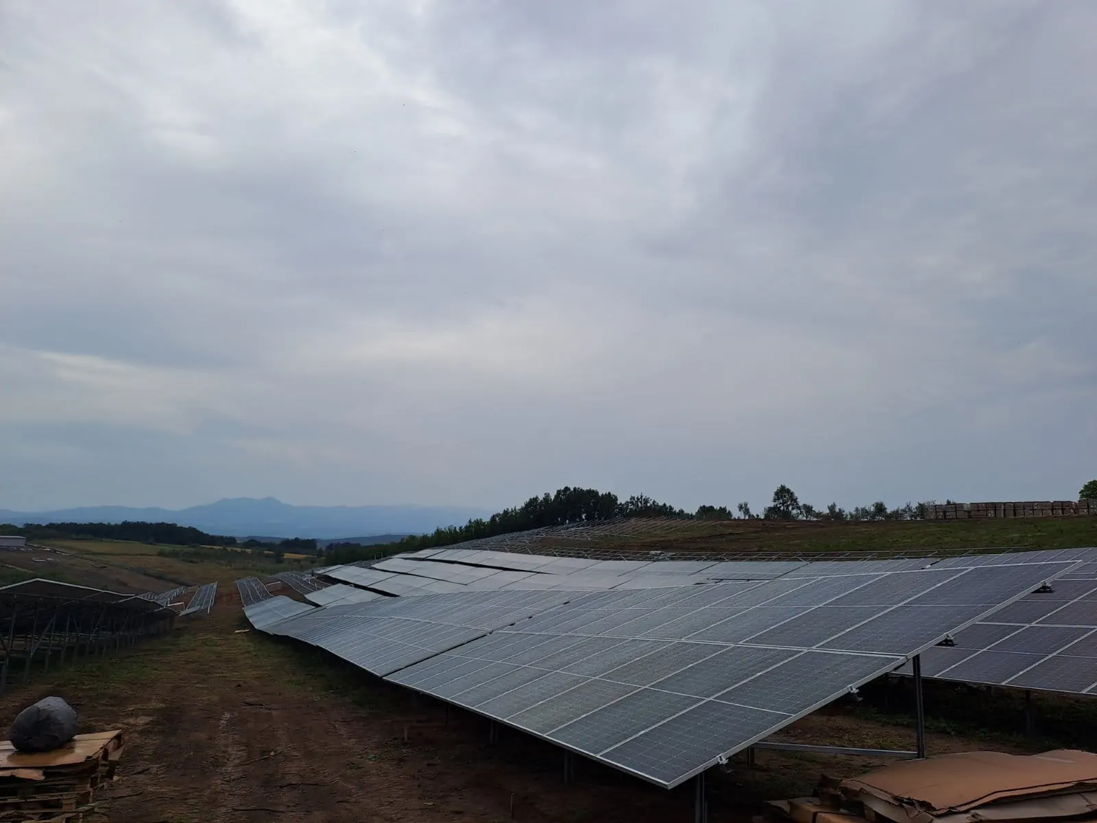 Bluesun Serbia solar module supply project