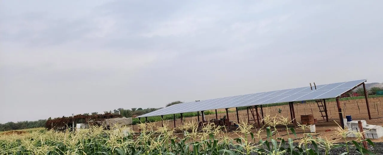 Bluesun United Arab Emirates solar water pump project
