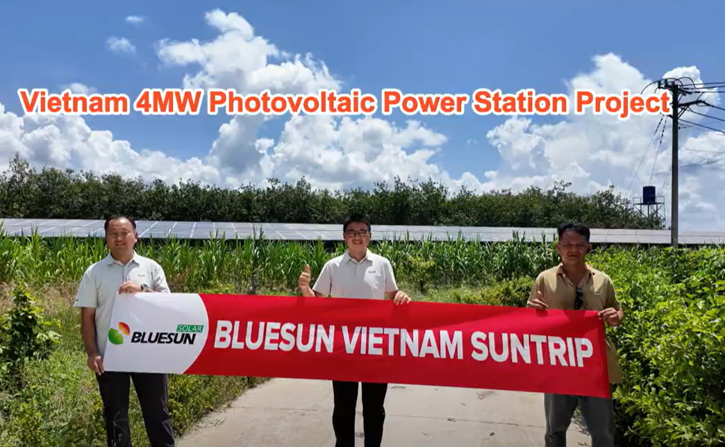 Vietnam 4MW Photovoltaic Power Station Project